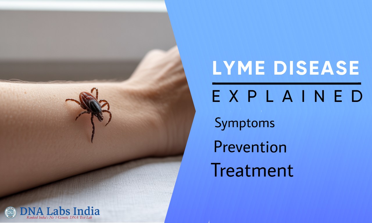 Lime Disease Explained