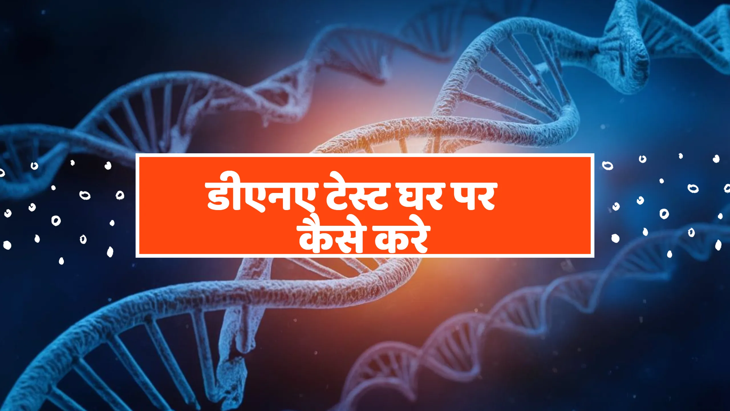 DNA Test at Home: Process, Cost, and Accuracy (2026)