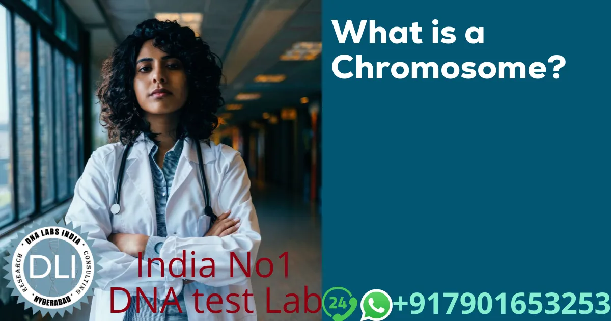 Understanding Chromosomes: Structure, Abnormalities, and Genetic Testing