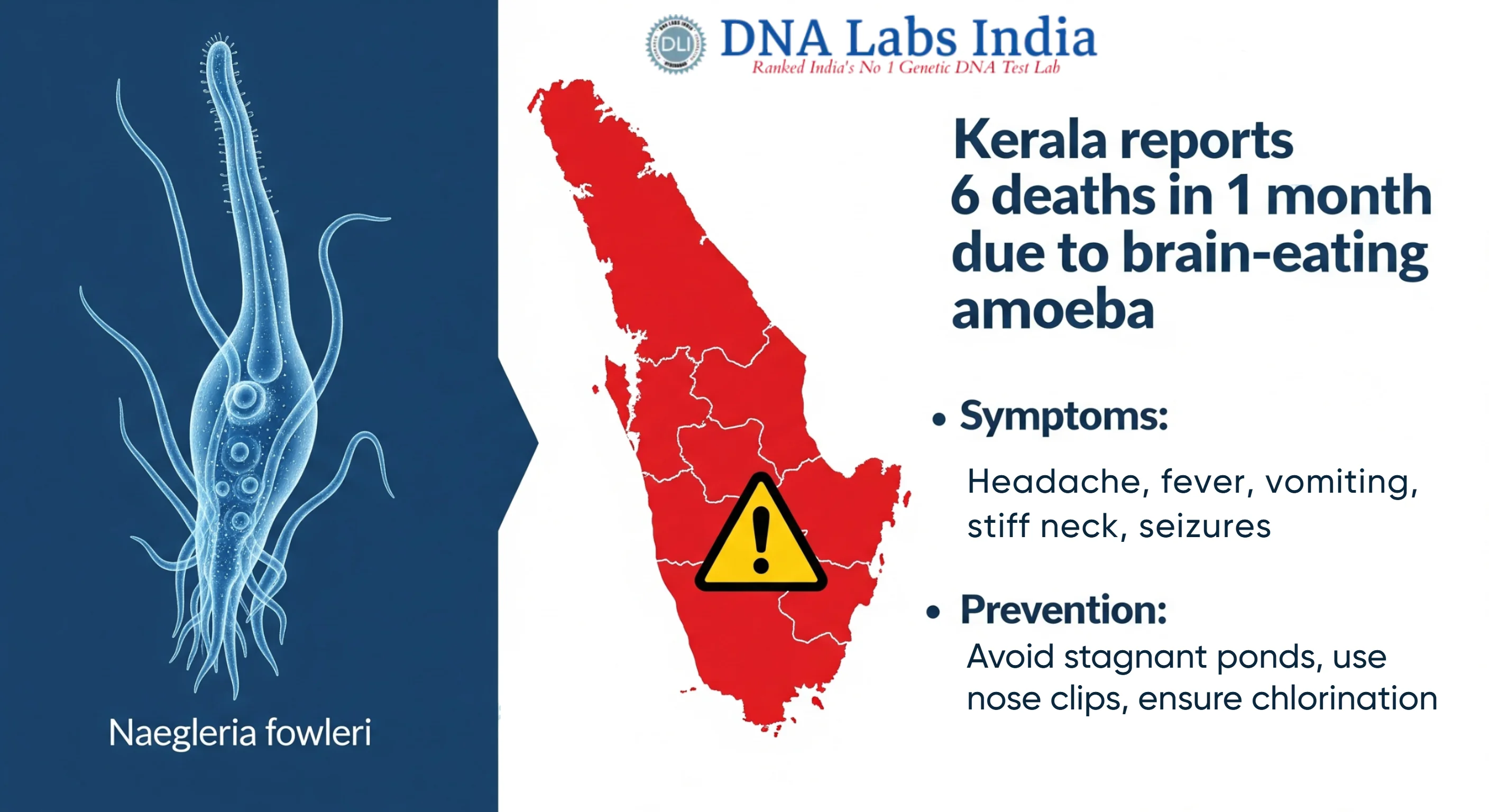 Brain-Eating Amoeba in Kerala: Sixth Death Reported – Symptoms, Prevention, and Diagnosis