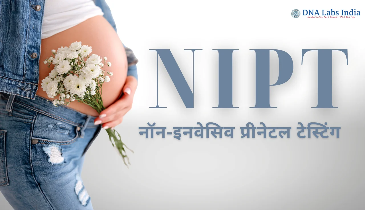 NIPT Test: What It Is, Cost, and How It Works