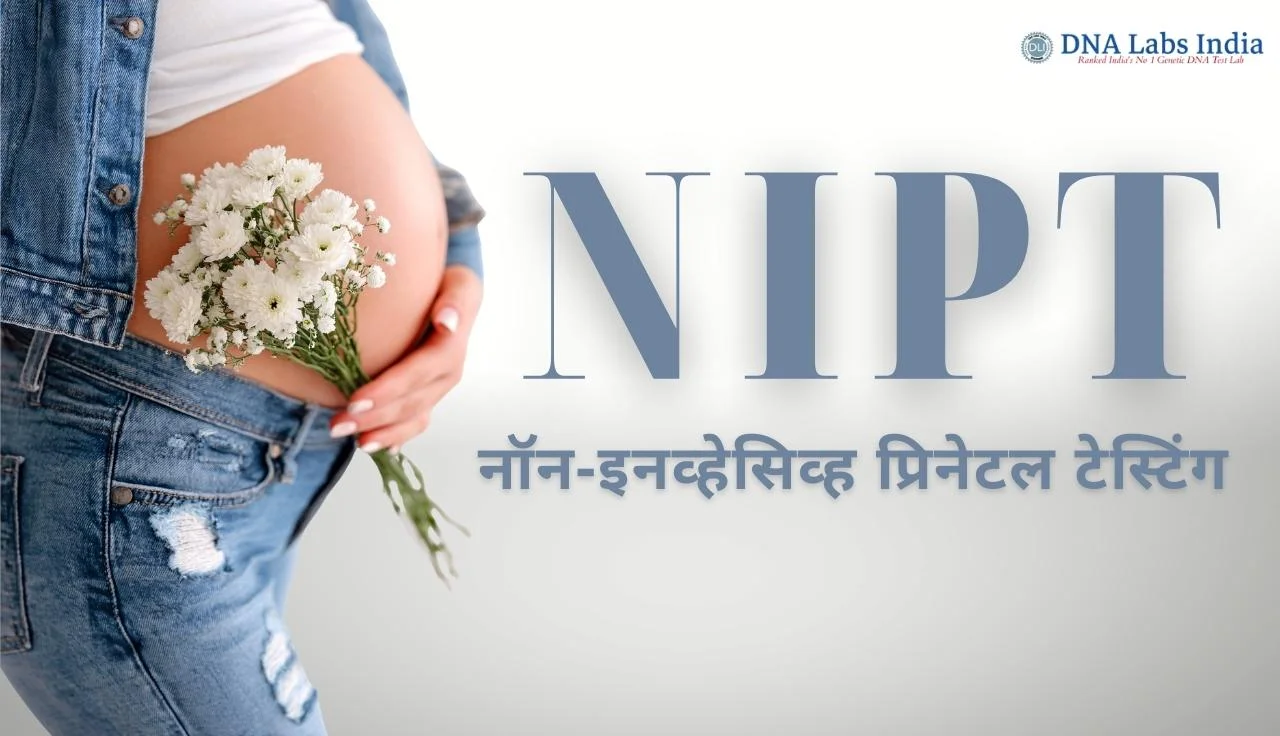 NIPT (Non-Invasive Prenatal Testing) – What It Is, Cost, and How It Works