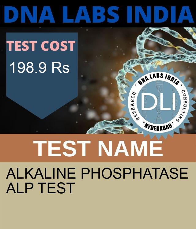 ALKALINE PHOSPHATASE ALP Test