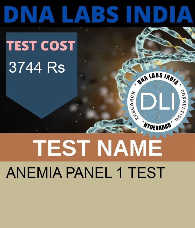 ANEMIA PANEL 1 Test