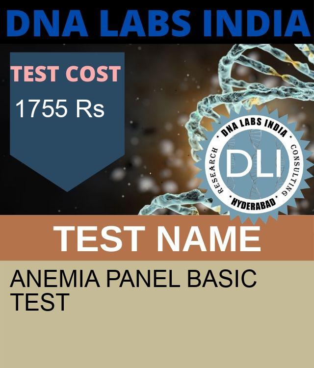 ANEMIA PANEL BASIC Test