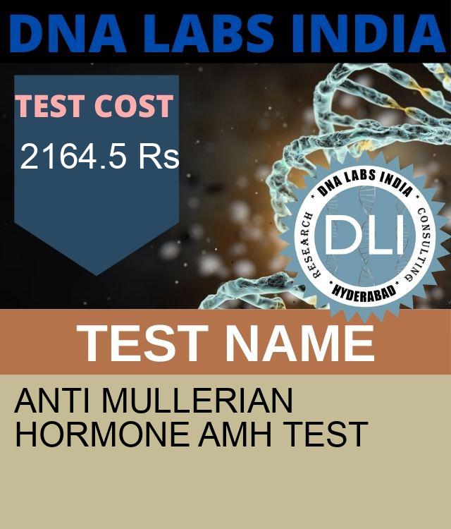ANTI MULLERIAN HORMONE AMH Test