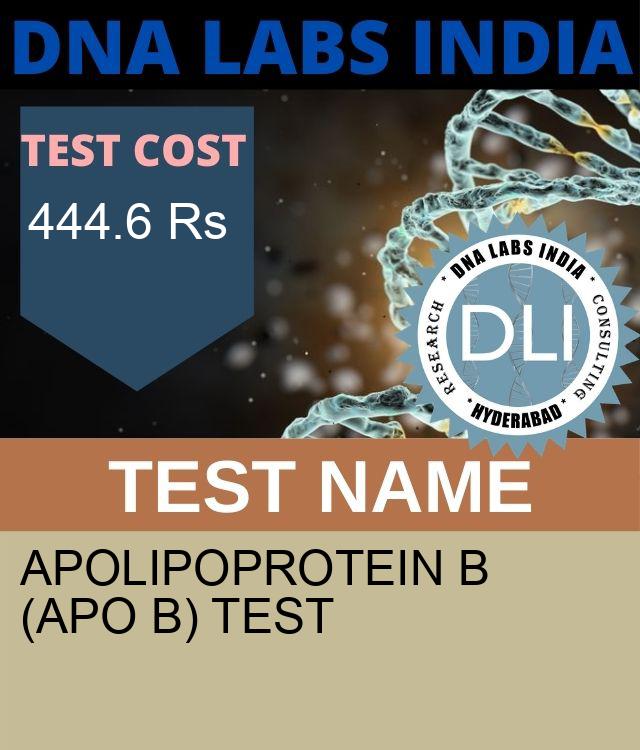 APOLIPOPROTEIN B (Apo B) Test
