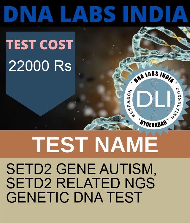 SETD2 Gene Autism, SETD2 related NGS Genetic DNA Test