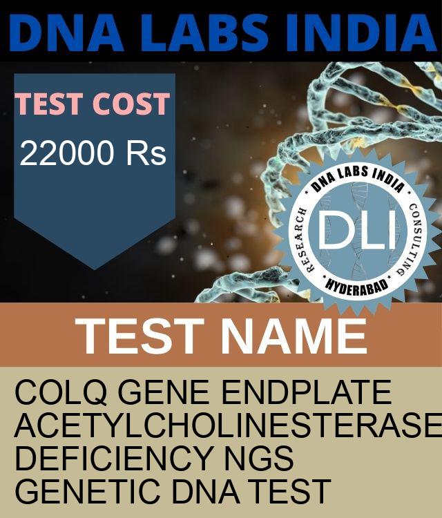 COLQ Gene Endplate acetylcholinesterase deficiency NGS Genetic DNA Test