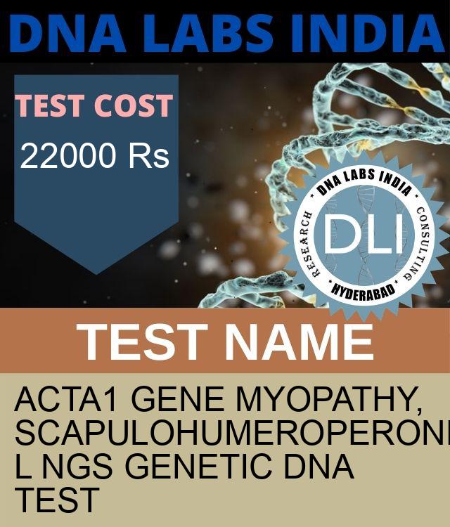 ACTA1 Gene Myopathy, scapulohumeroperoneal NGS Genetic DNA Test