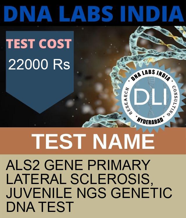 ALS2 Gene Primary lateral sclerosis, juvenile NGS Genetic DNA Test