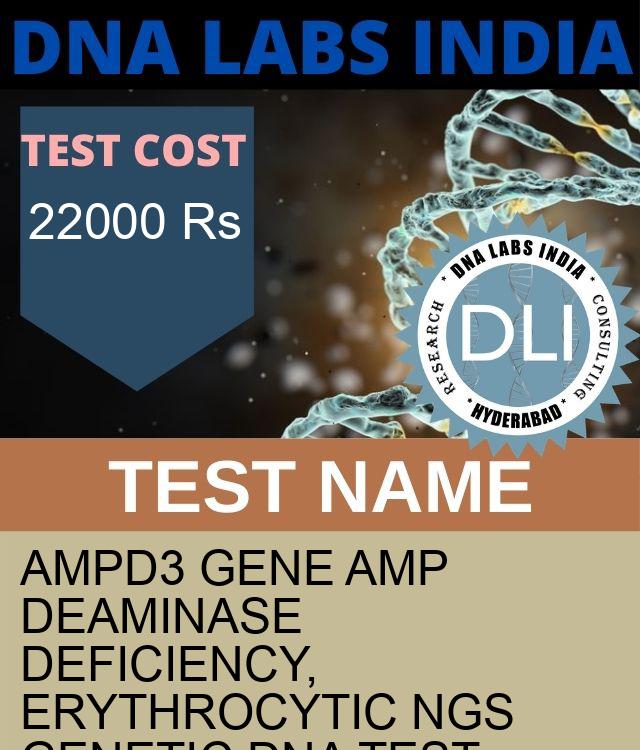 AMPD3 Gene AMP deaminase deficiency, erythrocytic NGS Genetic DNA Test
