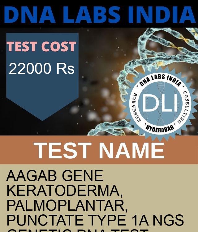 AAGAB Gene Keratoderma, palmoplantar, punctate type 1A NGS Genetic DNA Test