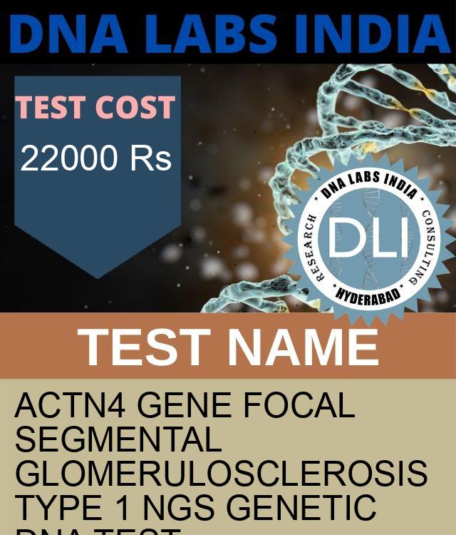 ACTN4 Gene Focal segmental glomerulosclerosis type 1 NGS Genetic DNA Test