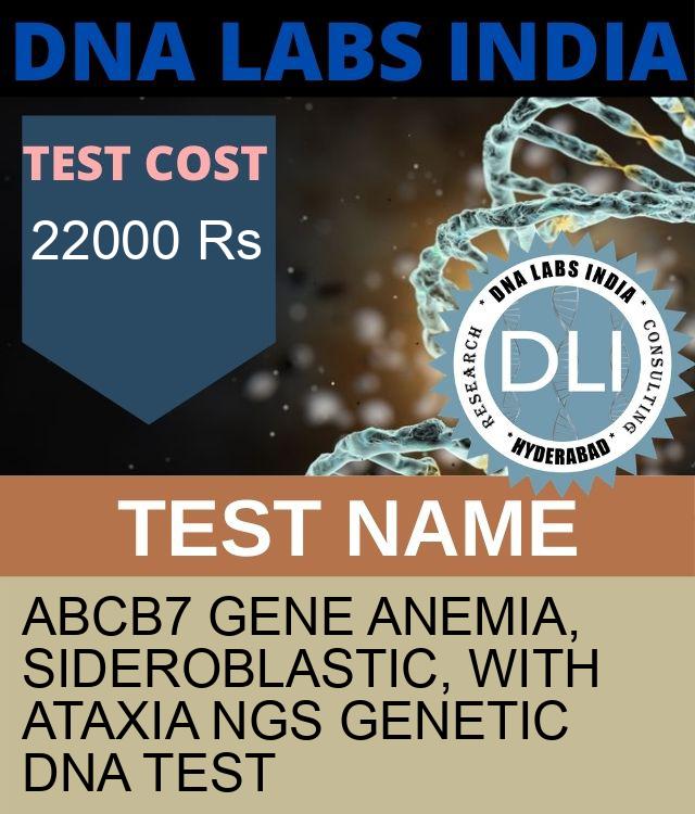 ABCB7 Gene Anemia, sideroblastic, with ataxia NGS Genetic DNA Test