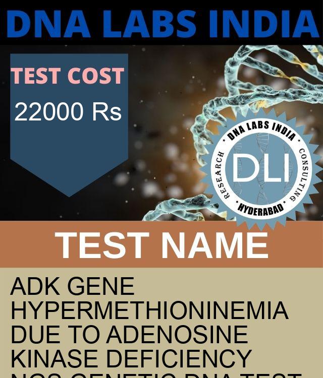 ADK Gene Hypermethioninemia due to adenosine kinase deficiency NGS Genetic DNA Test
