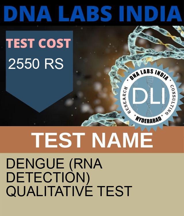 Dengue (RNA Detection) Qualitative Test