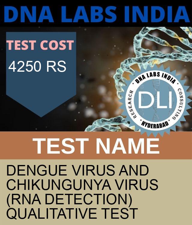 Dengue Virus and Chikungunya Virus (RNA Detection) Qualitative Test