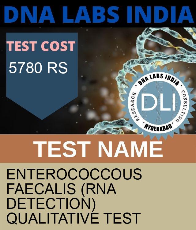 EnteroCoccous Faecalis (RNA Detection) Qualitative Test