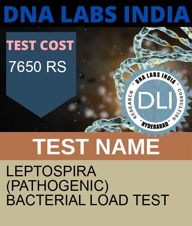 Leptospira (Pathogenic) bacterial Load Test