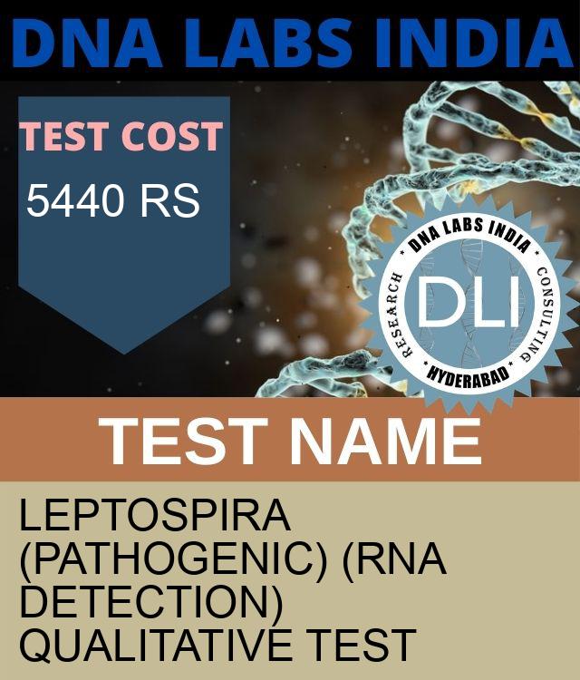 Leptospira (Pathogenic) (RNA Detection) Qualitative Test