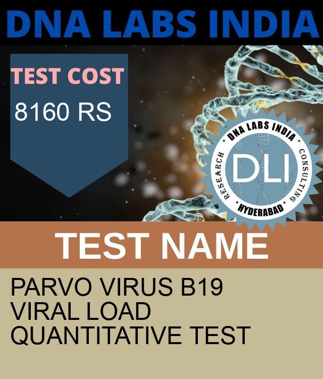Parvo virus B19 Viral Load Quantitative Test
