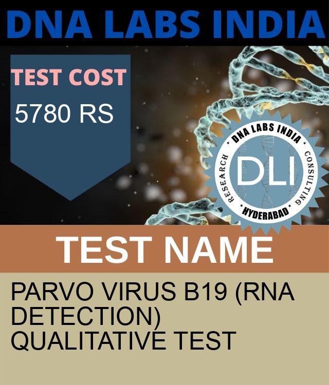 Parvo virus B19 (RNA Detection) Qualitative Test