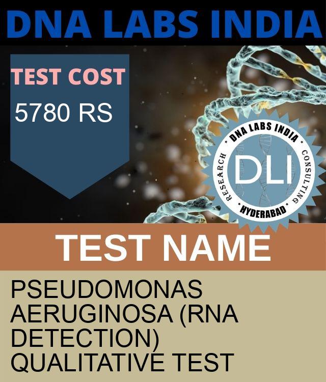 Pseudomonas Aeruginosa (RNA Detection) Qualitative Test