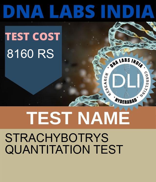 Strachybotrys Quantitation Test