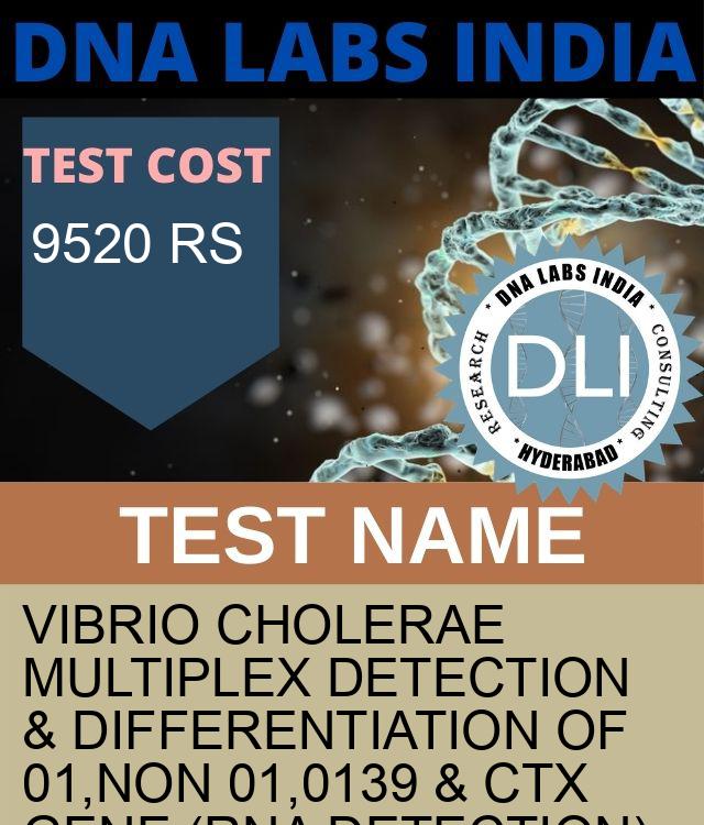 Vibrio Cholerae Multiplex Detection & Differentiation of 01,Non 01,0139 & Ctx Gene (RNA Detection) Qualitative Test
