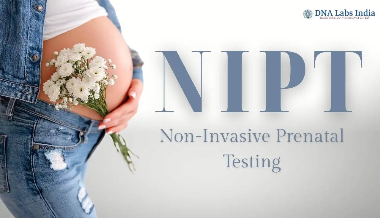 Pregnant woman in jeans holding a small bouquet of white flowers against her baby bump, with the text “NIPT Non-Invasive Prenatal Testing” displayed beside her.